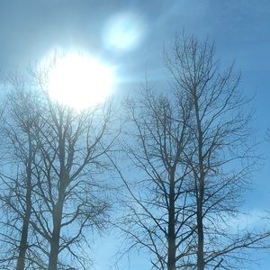 Meet your Posher, Briar